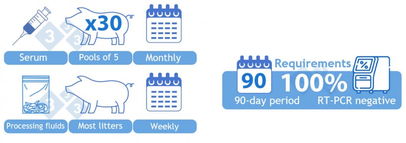 Category II Positive Stable. OPTION 2) Combination of serum and processing fluids. Serum from 30 due-to-wean piglets tested in pools of five monthly. One aggregated sample of processing fluids tested weekly by RT-PCR. Most litters processed during the week should be represented in the sample. All samples are required to be negative in a 90-day period in order to achieve the category.